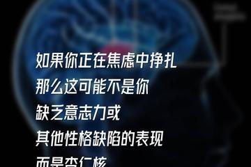 情绪管理大师：降低焦虑，早学早受益